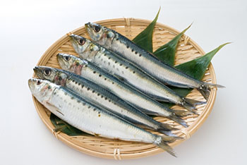 【Preparation】 Sardines